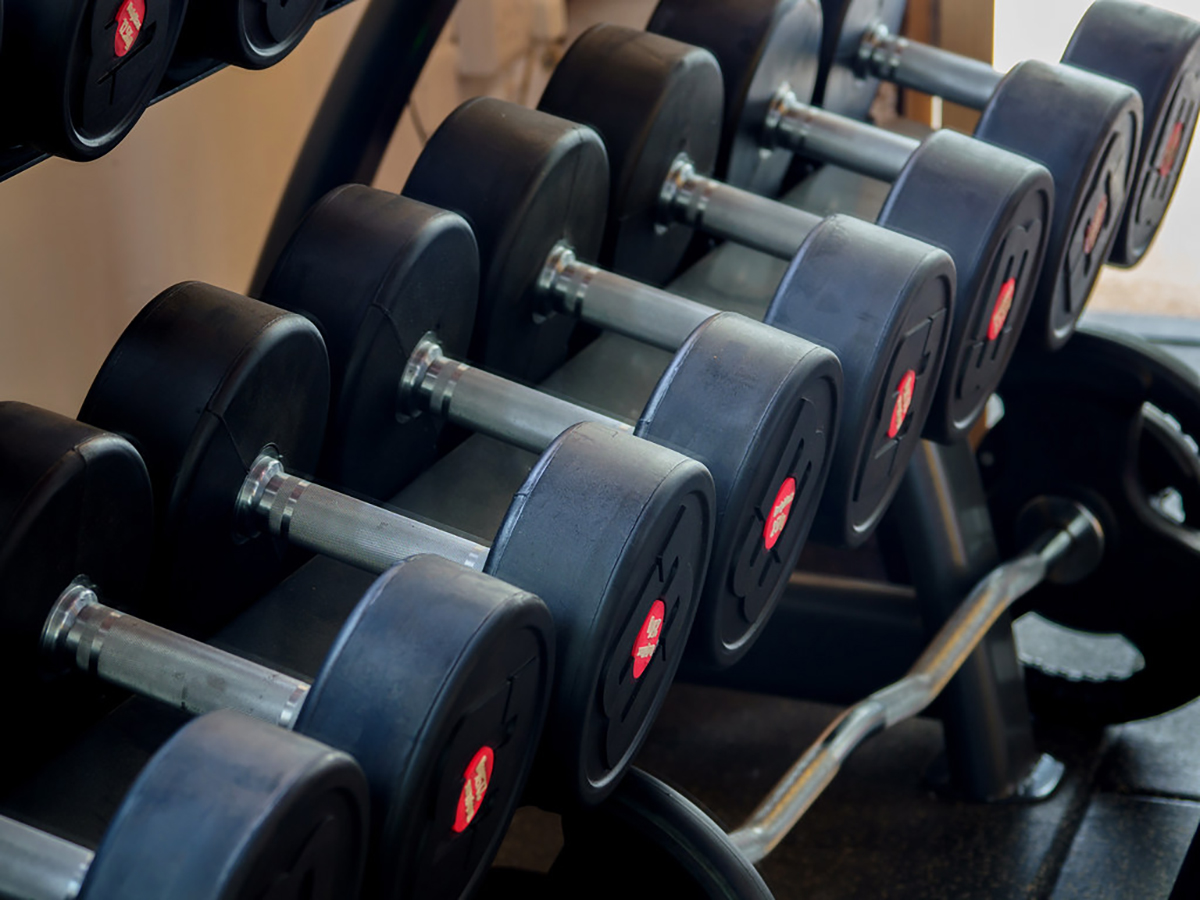 Gym Equipment Suppliers