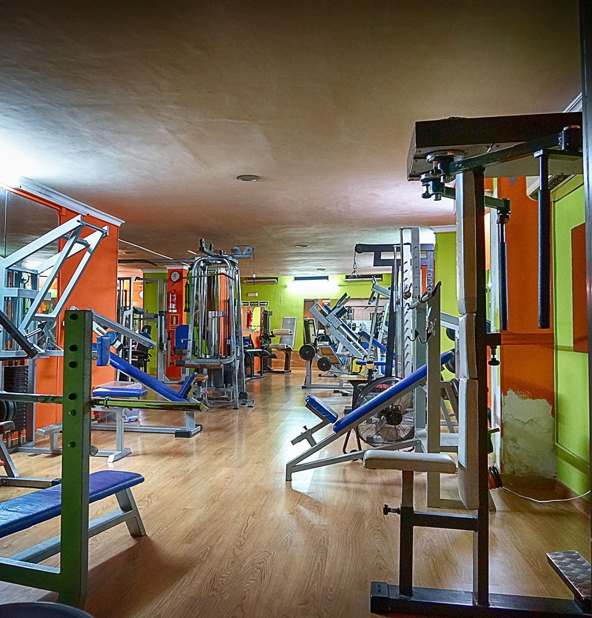 Quality Gym Equipment Dealers
